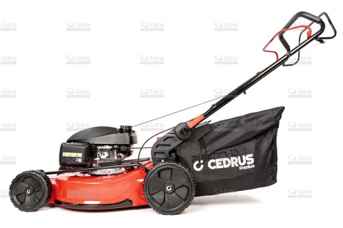 Kosiarka Cedrus Premium CEDLP53S-H