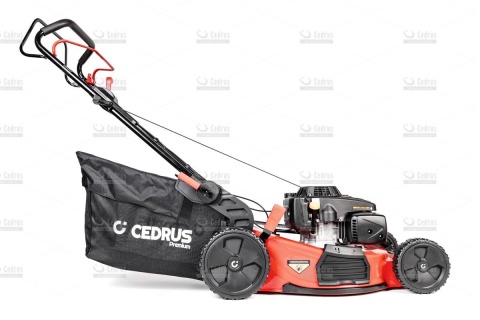 Kosiarka Cedrus Premium CEDLP53S-L