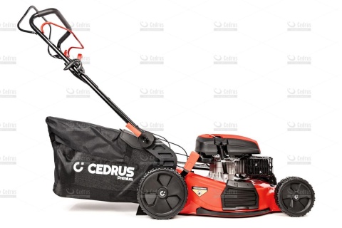 Kosiarka Cedrus Premium CEDLP53S