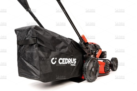 Kosiarka Cedrus Premium CEDLP53S