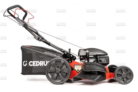 Kosiarka Cedrus z napędem CEDKS53S-H AL