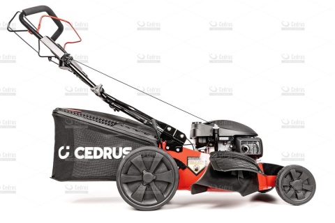 Kosiarka Cedrus z napędem CEDKS53S-H AL