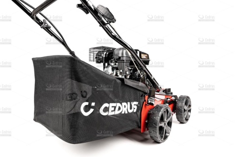 Wertykulator spalinowy Cedrus WR01 2w1