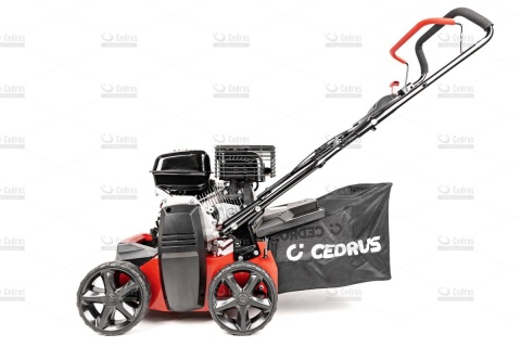 Wertykulator spalinowy Cedrus WR01 2w1